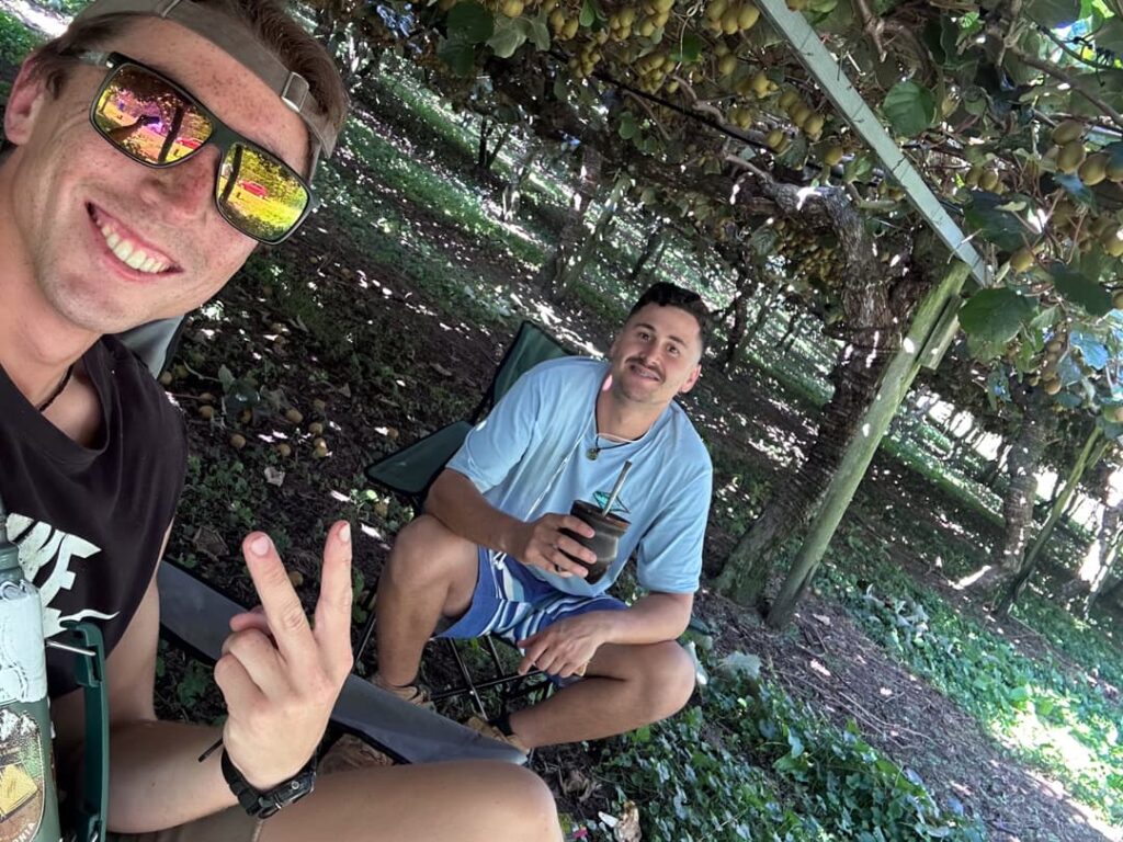 Dos viajeros sonrientes trabajando bajo las parras de kiwi en Nueva Zelanda.