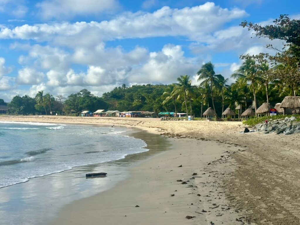 Playa en Fiji con casas locales junto al mar en un entorno tropical